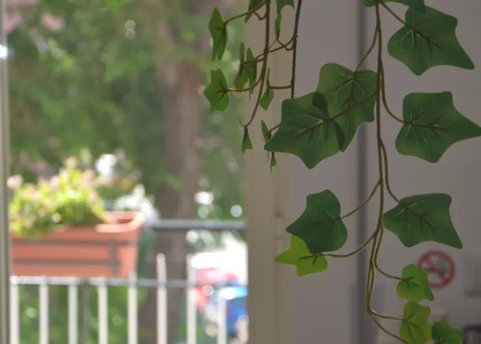 Affittacamere Quattro Venti